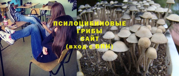 стаф Покровск